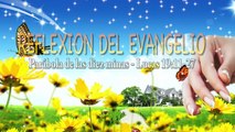 Evangelio De Hoy SÁBADO 26 de Mayo 2018 REFLEXIÓN Cápsulas Para el Alma