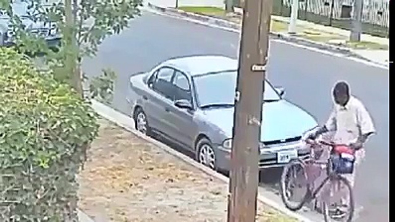 Thief Caught Stealing in Broad Daylight