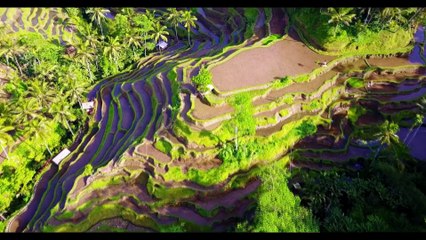 HRDY ft. Malvina - Cruel Summer (Original Mix)