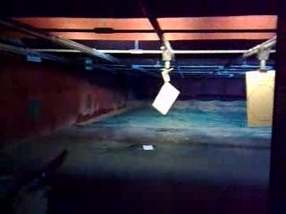 Difficult shooting 44 gun