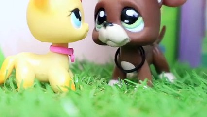 LPS: Love, Forever & Always - Sad/Emotional Film