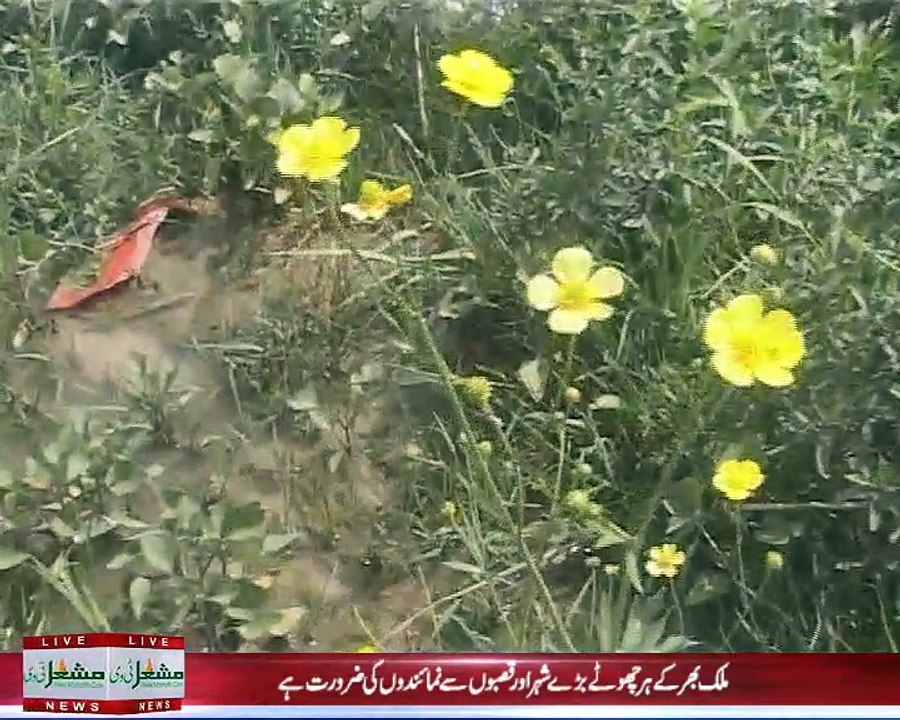 Waziristan Development