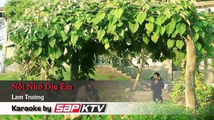 Nỗi Nhớ Dịu Êm - Lam Trường