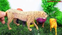 Play Doh Zoo Wild Animals Learn Colors for Children - Colors Song - Animals Names and Sound for Kids