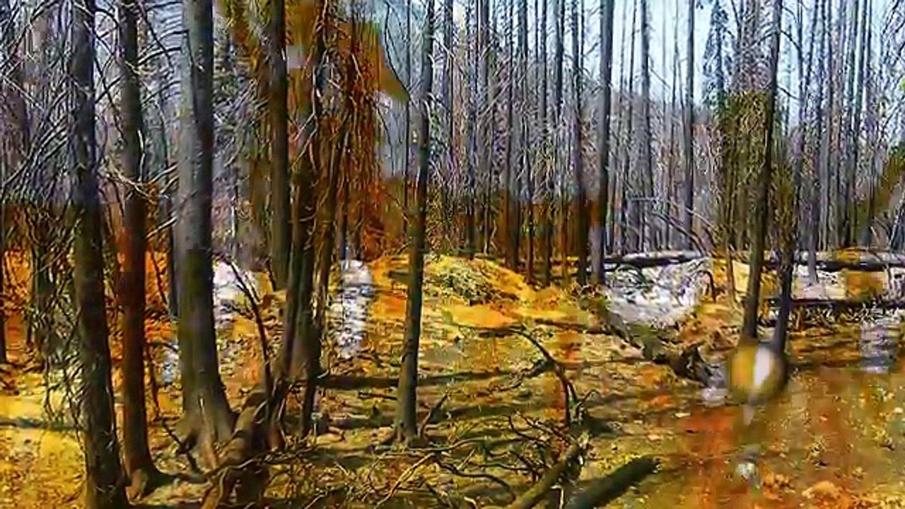 THE BETZ MYSTERY SPHERE | ALIEN ARTIFACTS #1