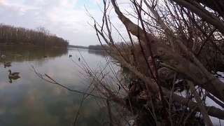 River Duck Hunt - Ohio 2016