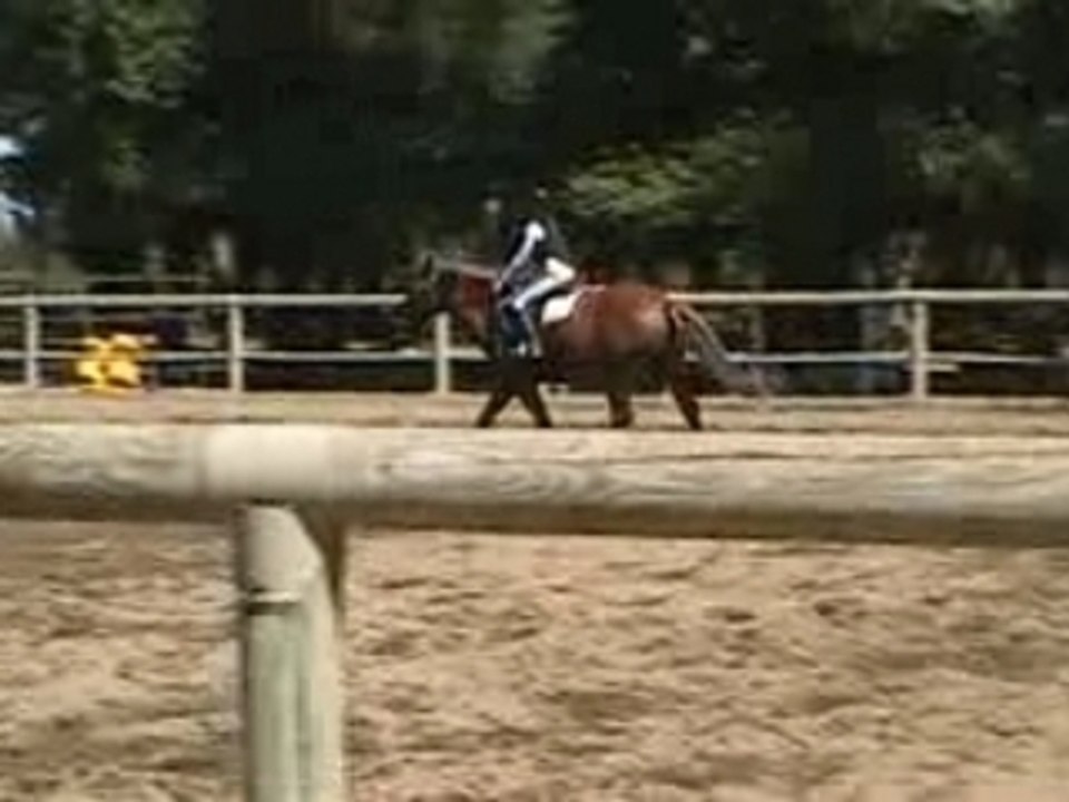 obstacle idée