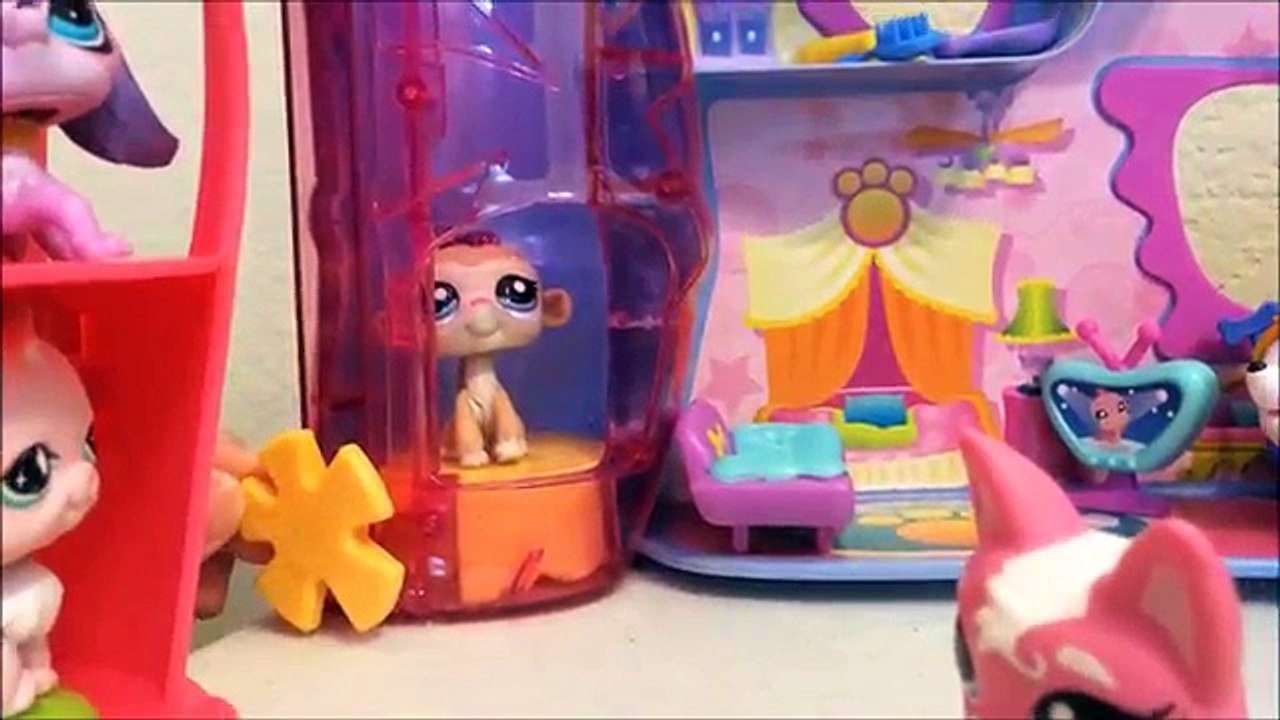 LPS: House Tour