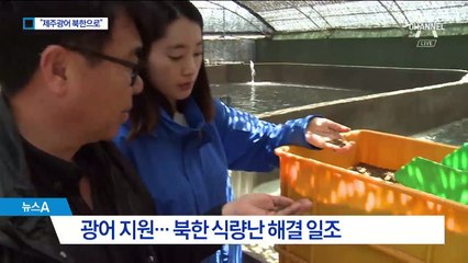 소떼 대신 제주광어…북한 바다에서 기릅시다