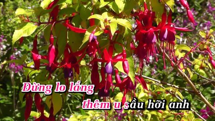 Ngàn Năm Vẫn Đợi - Ngọc Lam