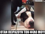 Μόνο εγώ τον πειράζω! Βάλτε ΗΧΟ και αρχίστε τα tags και τα λαϊκς 