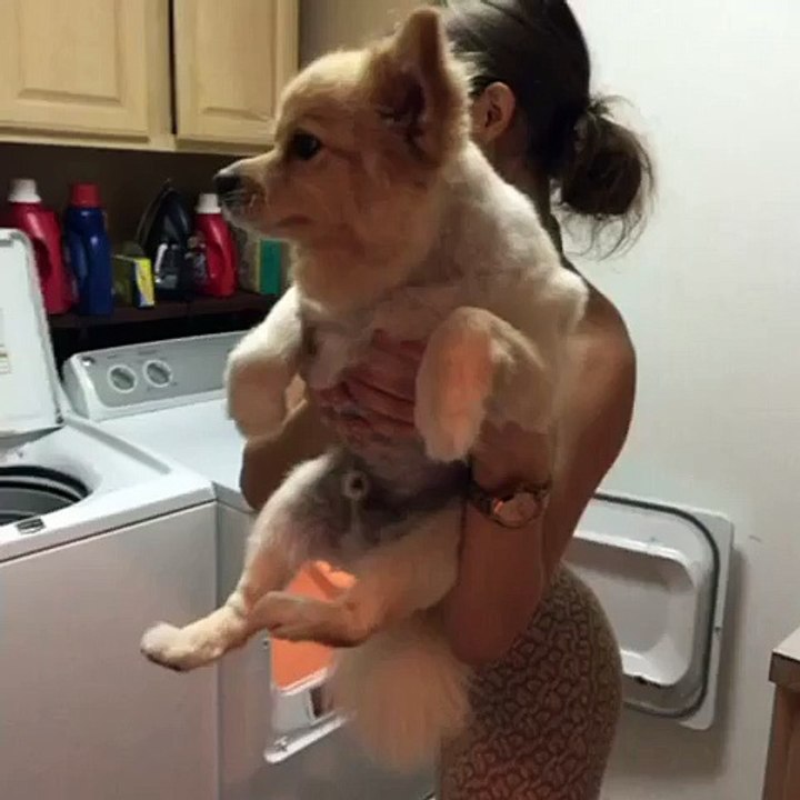Amanda Cerny Vine (20)