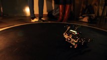 Light eating crawling robot