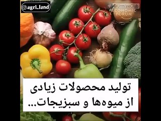 Why is the Netherlands the first and the best agriculture in terms of agriculture?