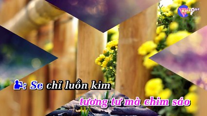 Thương nhau lý tơ hồng - Karaoke HD || Beat chuẩn