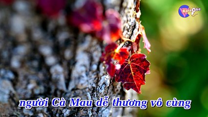 Áo mới Cà Mau - Karaoke HD [ViCi]