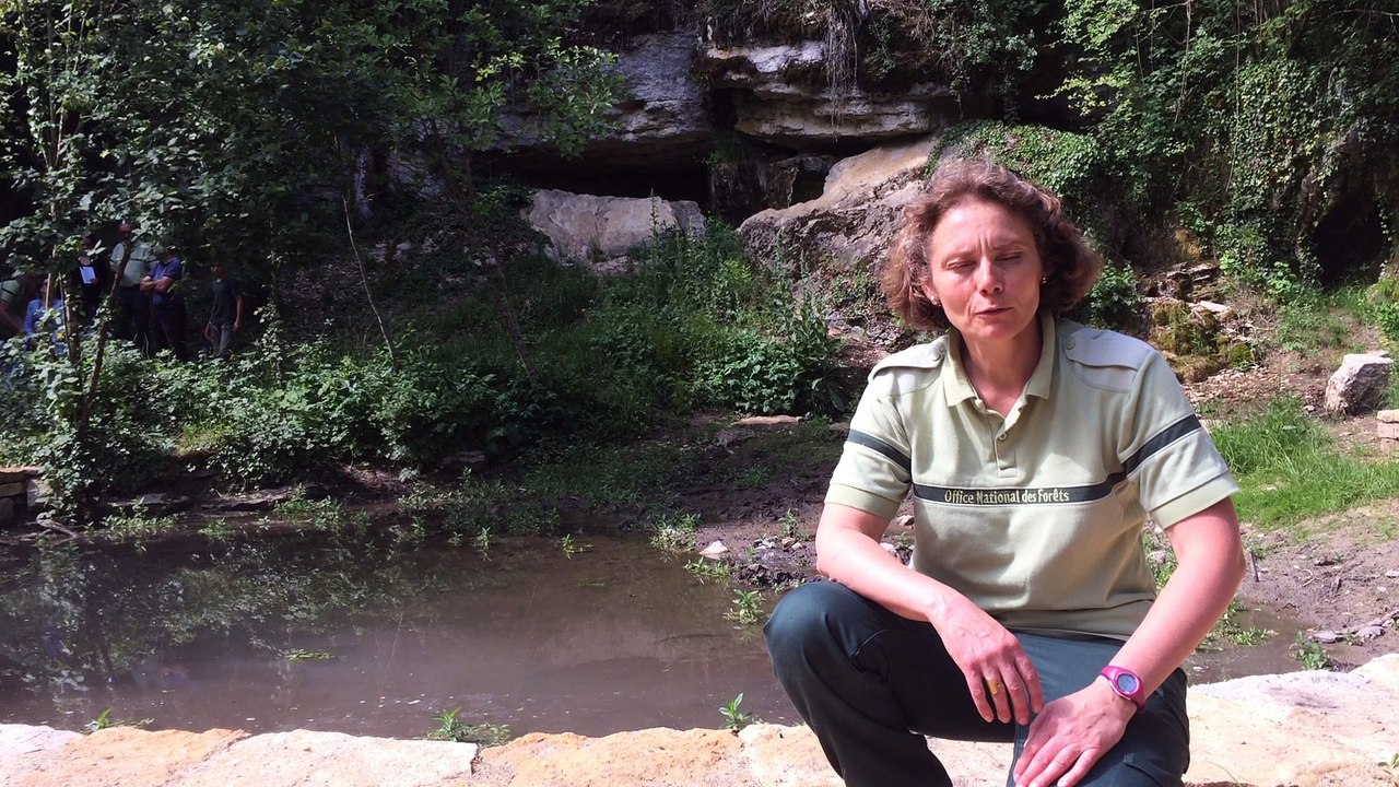 Darois : en visite à la Réserve naturelle régionale du Val Suzon