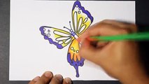 how to draw butterfly 3 - como dibujar una mariposa - como pintar una mariposa