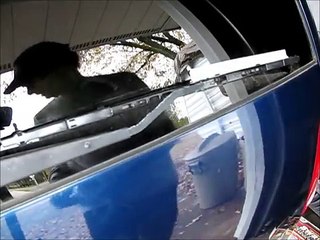 When a car part wont come off: A seized wiper arm removed the home mechanic way