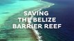 Belize and the World Wildlife Fund are proud to launch the Sister Reef Project, a first-of-its kind initiative helping the world’s two largest reefs. Learn more