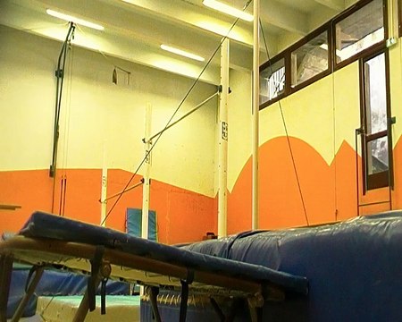 Henri Mauriès Rondade Salto Arrière (20) Rank:1 result : 15.55 Ukrainian Open Championship 2012 Aerobic Gymnastics (FIG-seniors IM + 18 years)