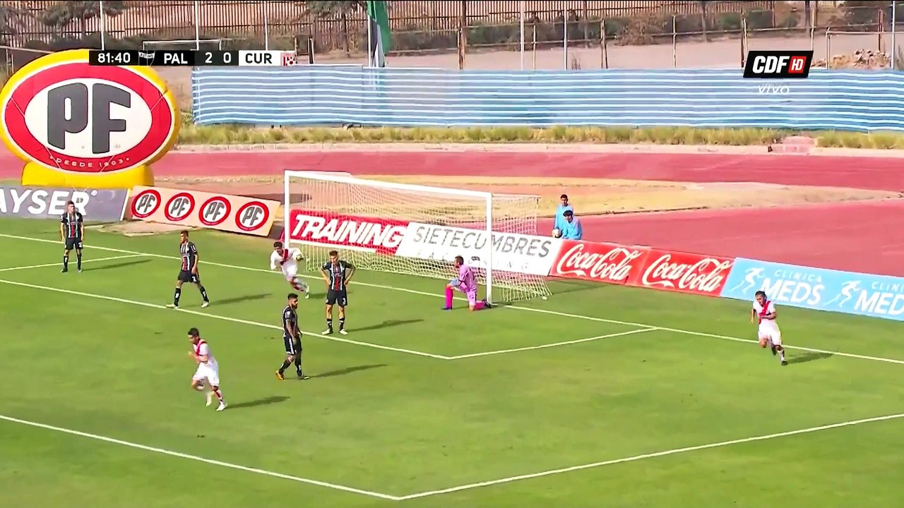 GOL Gabriel Vargas | Palestino 2-1 Curicó Unido | Campeonato Scotiabank 2018