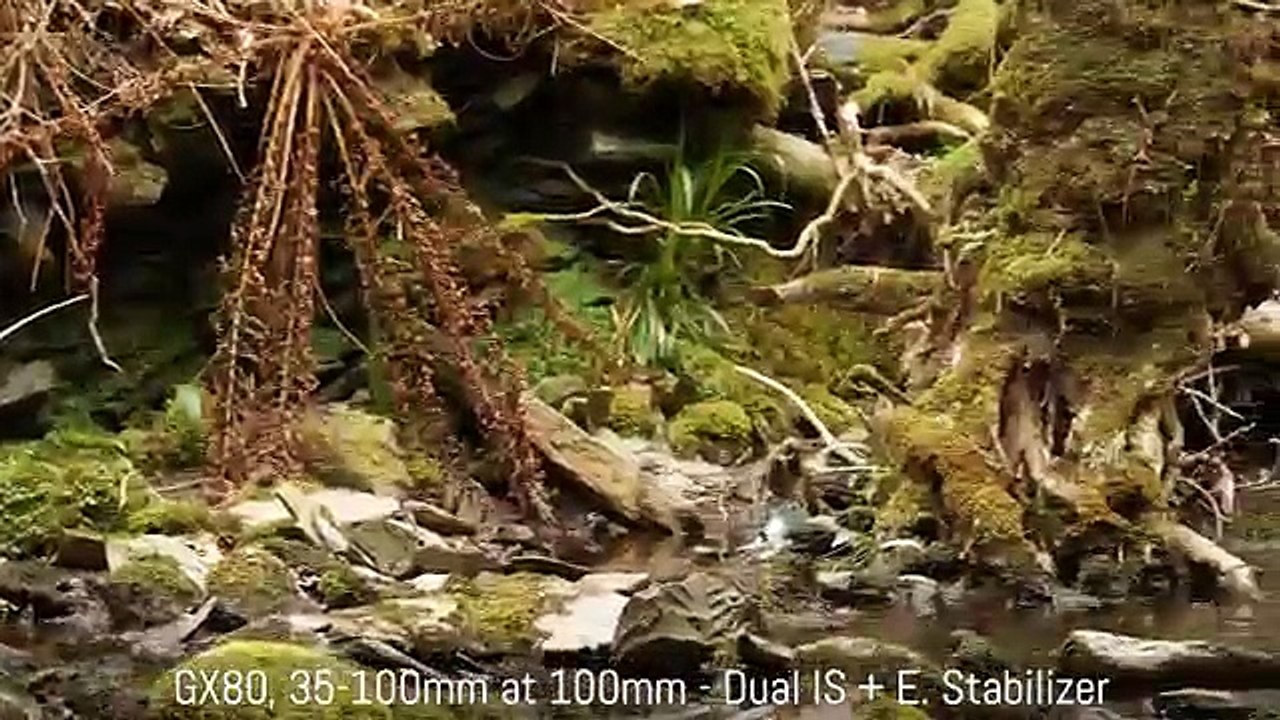 Panasonic GX80 / GX85 vs Olympus Pen F - 5-axis stabilization comparison