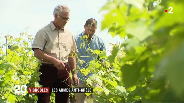 Vignobles : les armes anti-grêle