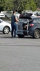 Ces Quebecois hallucinent en voyant un homme fermer son coffre avec du scotch