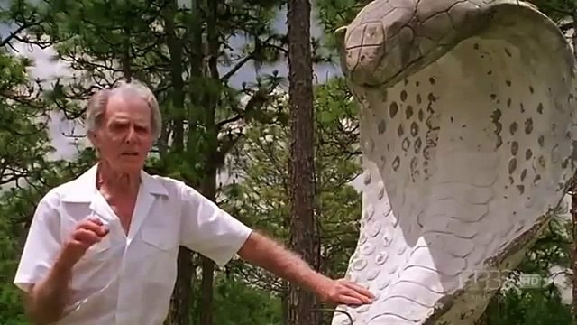 The Reptiles (Part-2) Snakes (Nature Documentary )