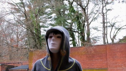 Valerie Paley's Dream Job