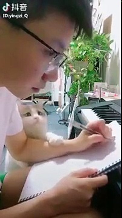 Son chat l'empêche de travailler