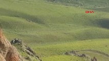Van Dağda Uçkun Otu Toplarken Kayalıklardan Düşen Bir Kişi Öldü, Bir Kişi Yaralandı