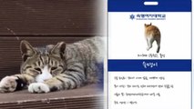 [좋은뉴스] 길고양이에 학생증 만들어준 학생들 / YTN
