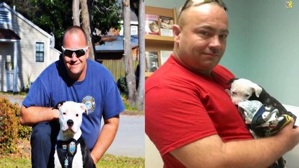 10 كلاب من حسن حظهم أنهم تمكنوا من تغيير طبيعة حياتهم