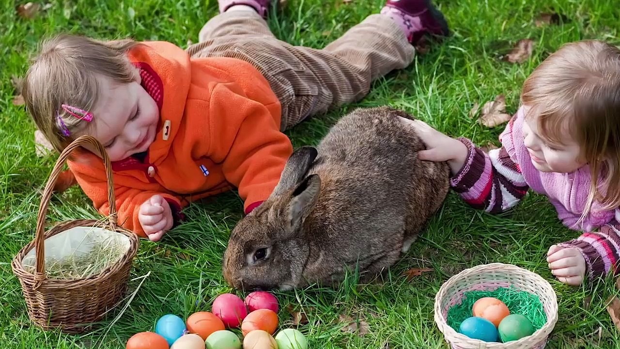 LES 10 JOUETS QUE LES ENFANTS NE DEVRAIENT PAS RECEVOIR À PÂQUES - Lama Faché
