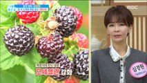 [Happyday]'Berry' to help waste products 노폐물 배출을 도와주는 '베리류'[기분 좋은 날] 20180528