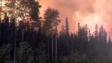 Tommy Lakes Forest Fire