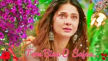 Tere Bina O Sajna/latest status video/Romantic-love/2