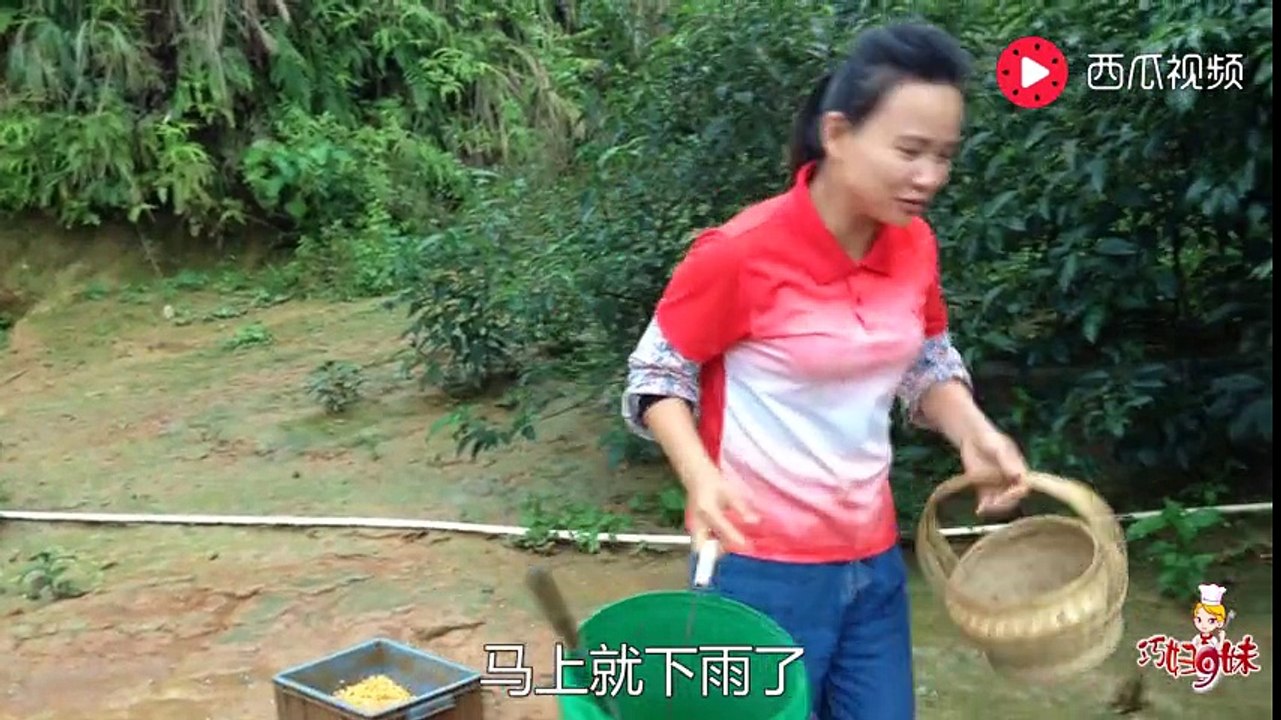 几天没去鸡窝，巧妇9妹这次却发现了惊喜，一个小生命诞生了！