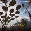 Plantés à Marrakech, des arbres connectés pour recharger vos smartphones !