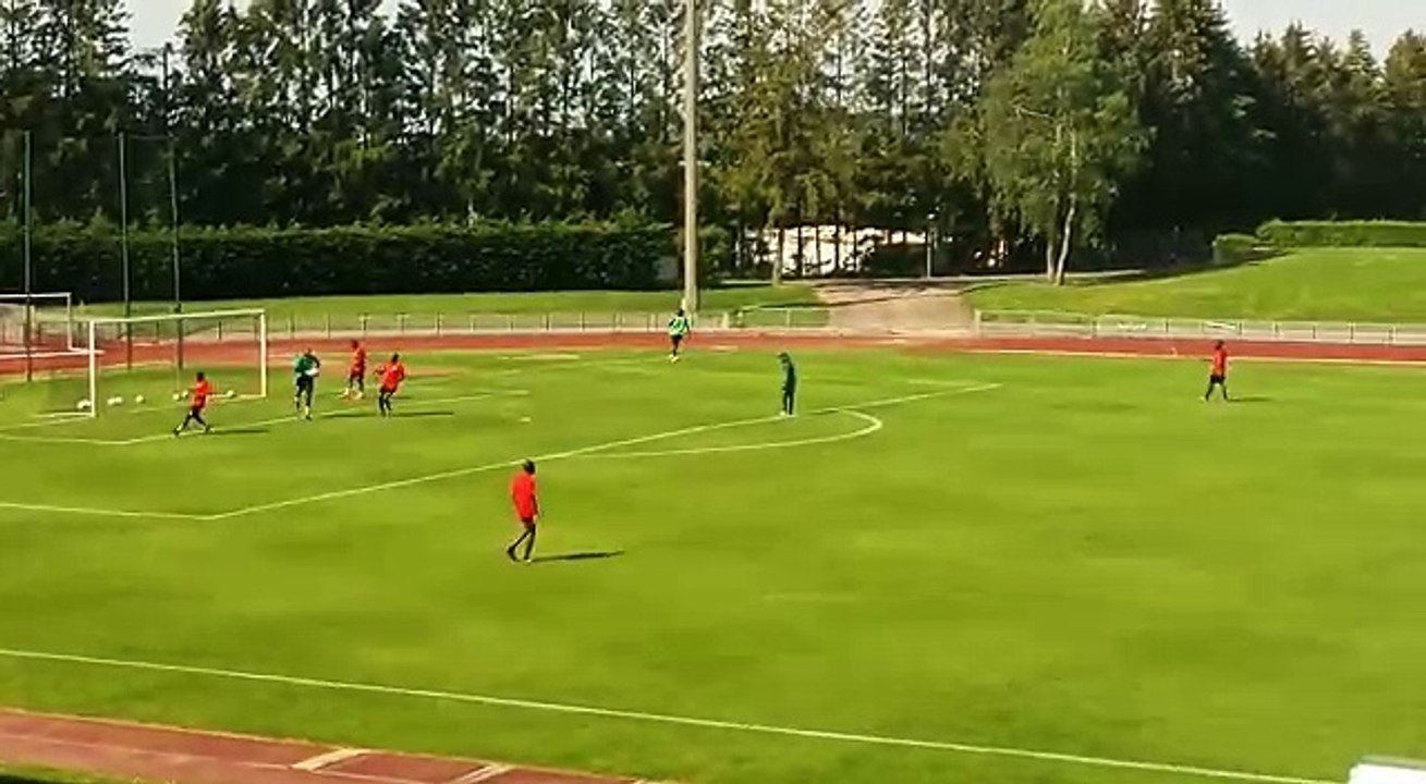 Entrainement des lions a vittel