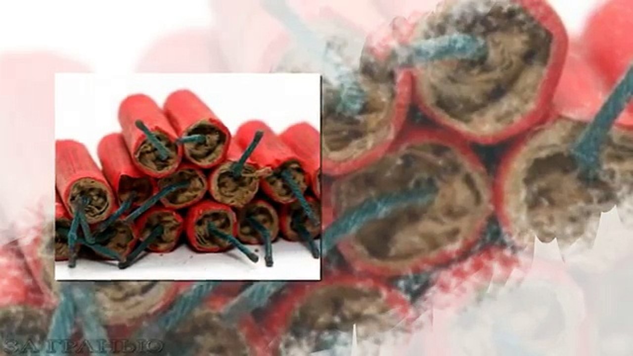 Самые страшные хищники в мире зверей