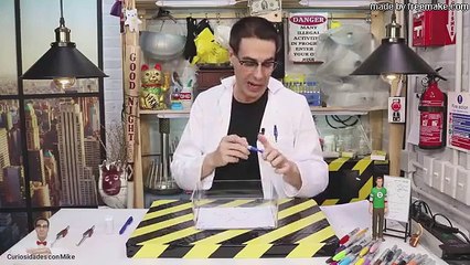 HORMIGA ATRAPADA EN CÍRCULO DE TINTA ¿MITO O REALIDAD