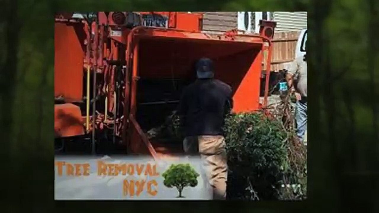 UNBEATABLE PRICED Tree Service