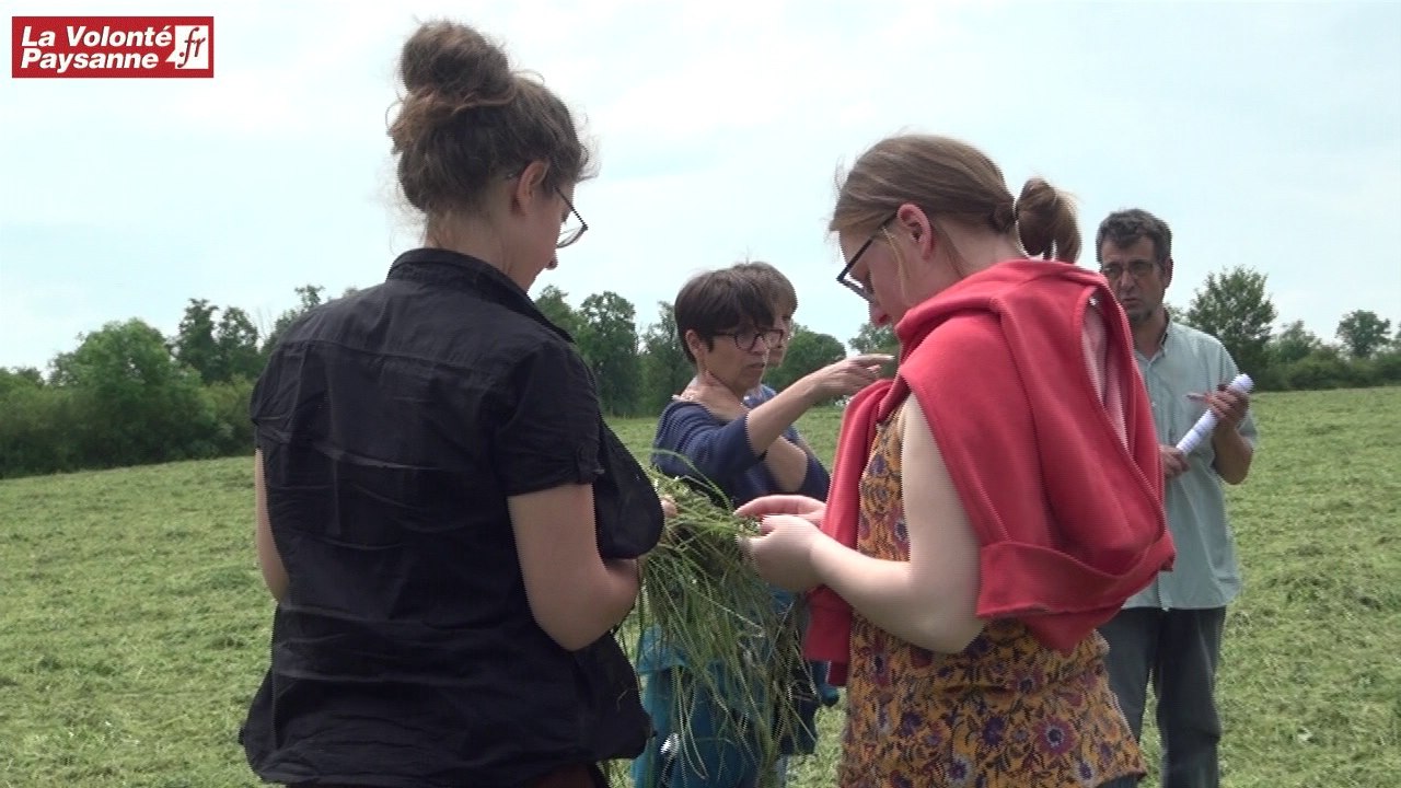 Terr’Eau Bio 2018 : ovins lait et pâturage tournant