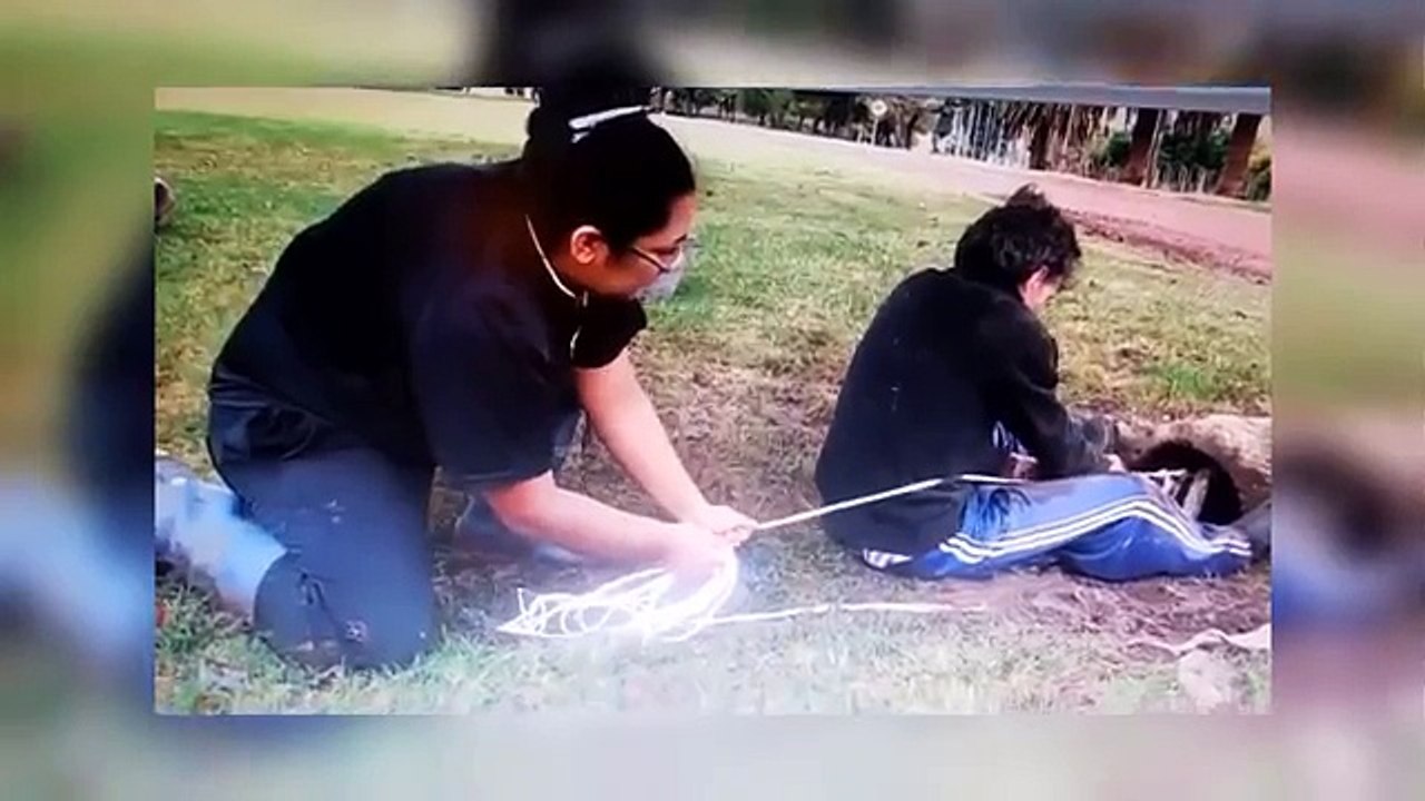 Great People Saving Animals Lives #6