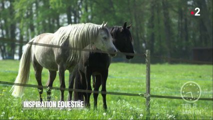 Made in France - Inspirations équestres