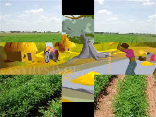 Ben Palen, Serves as co-owner and Manager for Ag Management Partners