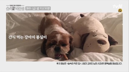 시청자 응모 2차 ASMR 행복실험 영상 공개 ♥ #1일1소확행